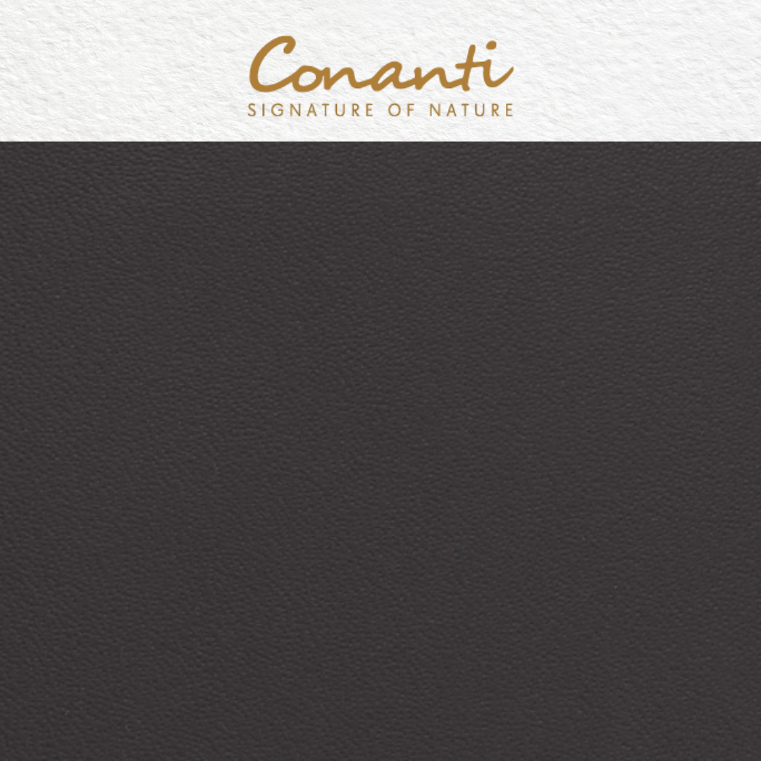 TERRA MOTION ESPRESSO